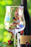Red wine and blackberries. 이미지 (100814944) - 게티이미지뱅크 Red wine and blackberries.