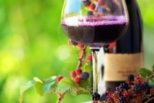 Red wine and blackberries. 이미지 (100814947) - 게티이미지뱅크 Red wine and blackberries.