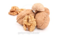 walnut 이미지 (94760954) - 게티이미지뱅크 walnut
