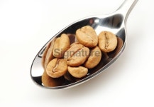 White roasted coffee beans in spoon 이미지 (176077274) - 게티이미지뱅크 White roasted coffee beans in spoon
