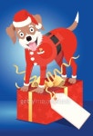 Happy dog dressed as santa standing on a present 이미지 (164322418) - 게티이미지뱅크 Happy dog dressed as santa standing on a... 