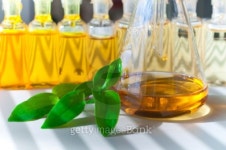 bio diesel 이미지 (91846575) - 게티이미지뱅크 bio diesel