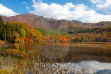 Kannon Swamp Park in Autumn 이미지 (106534585) - 게티이미지뱅크 Kannon Swamp Park in Autumn