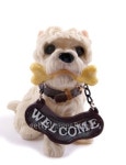 Toy dog-welcome 이미지 (95138648) - 게티이미지뱅크 Toy dog-welcome