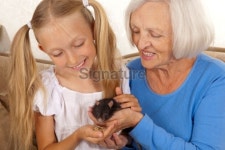 Happy Grandmother and Granddaughter Playing with a Cute Rat. 이미지 (92885286) - 게티이미지뱅크 Happy Grandmother and... 