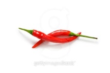 Red chili peppers isolated on the white 이미지 (95271647) - 게티이미지뱅크 Red chili peppers isolated on the white