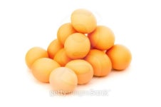 Many eggs on white - shallow depth of field 이미지 (95736911) - 게티이미지뱅크 Many eggs on white - shallow depth of field