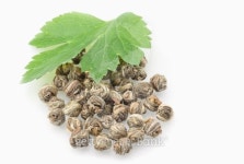 Health organic 이미지 (101079374) - 게티이미지뱅크 Health organic