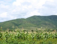 Mountains 이미지 (176080749) - 게티이미지뱅크 Mountains