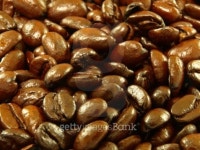 Coffee bean 이미지 (93230426) - 게티이미지뱅크 Coffee bean