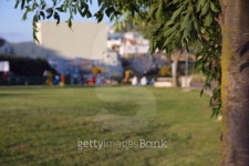 Park & Playground 이미지 (121107595) - 게티이미지뱅크 Park & Playground