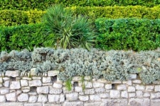 Green park wall 이미지 (101818870) - 게티이미지뱅크 Green park wall
