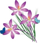 Violet flowers 이미지 (95093754) - 게티이미지뱅크 Violet flowers