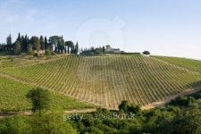 Typical Tuscan landscape 이미지 (101157890) - 게티이미지뱅크 Typical Tuscan landscape