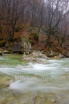Mountain stream 이미지 (101528459) - 게티이미지뱅크 Mountain stream