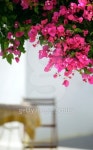 Santorini 이미지 (104681957) - 게티이미지뱅크 Santorini