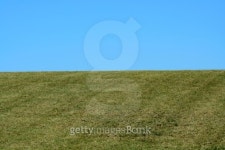 Green field and blue sky 이미지 (102742650) - 게티이미지뱅크 Green field and blue sky