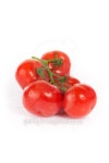 fresh red tomatoes 이미지 (147708188) - 게티이미지뱅크 fresh red tomatoes