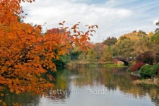 Autumn at the Gapstow bridge 이미지 (108715899) - 게티이미지뱅크 Autumn at the Gapstow bridge