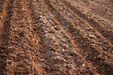 Soil 이미지 (147034707) - 게티이미지뱅크 Soil