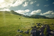 Pasture in the sun rays 이미지 (146926917) - 게티이미지뱅크 Pasture in the sun rays