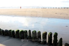 free as a child 이미지 (97506306) - 게티이미지뱅크 free as a child