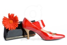 Shoes,  handbag and flower 이미지 (119342652) - 게티이미지뱅크 Shoes,  handbag and flower
