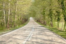 road & nature 이미지 (146821730) - 게티이미지뱅크 road & nature