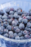 blueberries in the dish 이미지 (106406964) - 게티이미지뱅크 blueberries in the dish