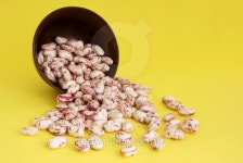 Bean 이미지 (105676868) - 게티이미지뱅크 Bean