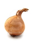 onion 이미지 (161577285) - 게티이미지뱅크 onion