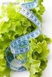 한밭유통,Fresh Tape(프레시테잎) | meaasuring tape over fresh lettuce 이미지 (119120326) - 게티이미지뱅크 meaasuring tape over fresh lettuce