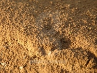 Soil 이미지 (147072537) - 게티이미지뱅크 Soil