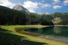 green grass field lake and pine forest 이미지 (104291235) - 게티이미지뱅크 green grass field lake and pine forest