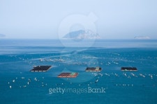 Fishing farm 이미지 (119649389) - 게티이미지뱅크 Fishing farm