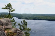 Algonquin Park 이미지 (137860673) - 게티이미지뱅크 Algonquin Park