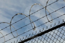 Barbed Wire Security Fence 이미지 (119862348) - 게티이미지뱅크 Barbed Wire Security Fence