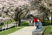 In the park 이미지 (134573281) - 게티이미지뱅크 In the park