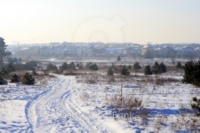 Winter scene 이미지 (97701762) - 게티이미지뱅크 Winter scene