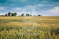 Wind Turbine generating clean electricity power 이미지 (118911296) - 게티이미지뱅크 Wind Turbine generating clean electricity... 