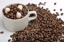 coffee 이미지 (104257824) - 게티이미지뱅크 coffee