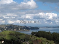 Marin County Vista 이미지 (182467794) - 게티이미지뱅크 Marin County Vista