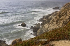 Scenic California Coastline 이미지 (146963515) - 게티이미지뱅크 Scenic California Coastline