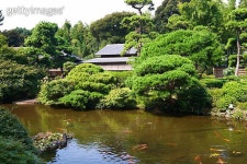 Japanese garden 이미지 (176821263) - 게티이미지뱅크 Japanese garden