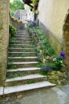 Flowered staircases in a Provence village 이미지 (146814740) - 게티이미지뱅크 Flowered staircases in a Provence village