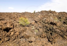 devils homestead lava flow 이미지 (97488660) - 게티이미지뱅크 devils homestead lava flow