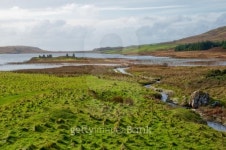 Eilean Mor Loch Finlaggan 이미지 (106520045) - 게티이미지뱅크 Eilean Mor Loch Finlaggan