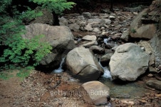 Nature scene 이미지 (125997118) - 게티이미지뱅크 Nature scene