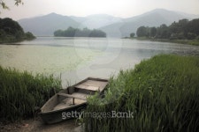 Nature scene 이미지 (126002811) - 게티이미지뱅크 Nature scene