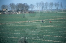 Bathing 이미지 (126006133) - 게티이미지뱅크 Bathing